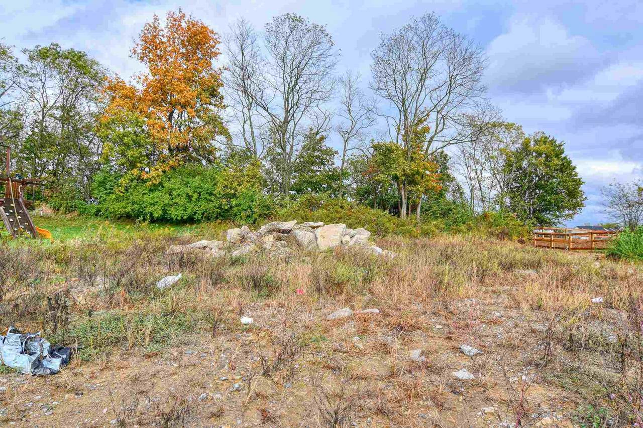 0 Fredricksburg Road - Photo 1