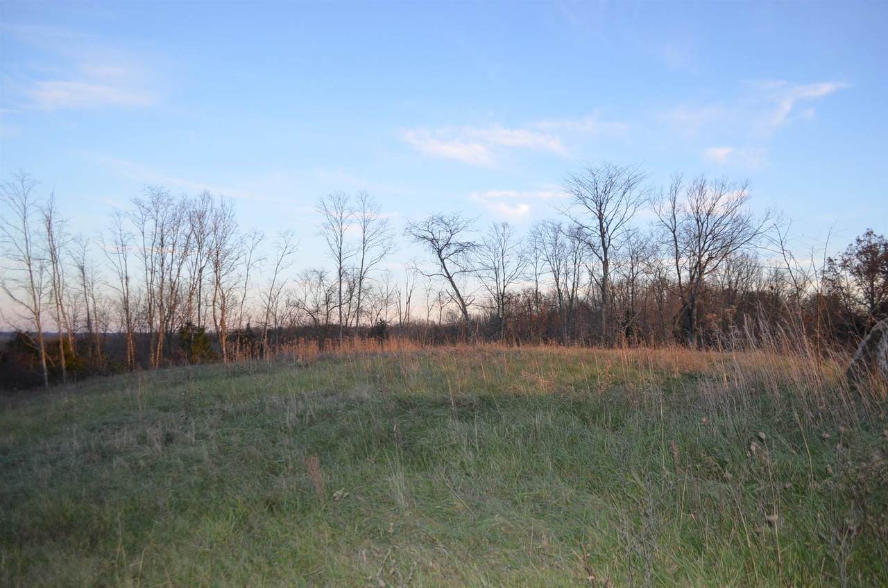 Lot 4 Lenoxburg Road - Photo 1