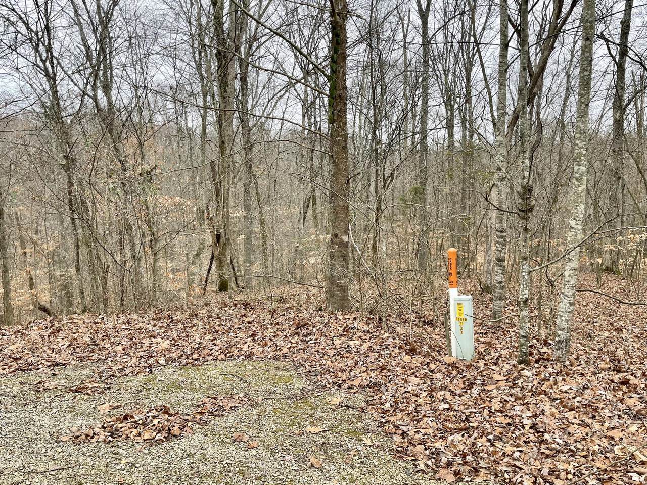 Lot 111 Kelly Circle - Photo 1