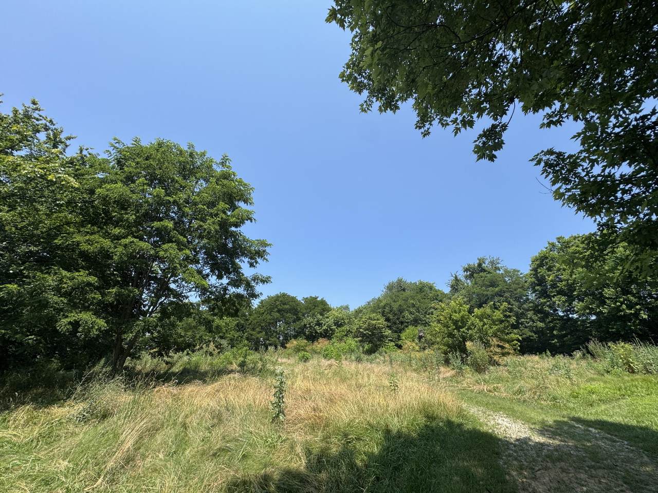 4681 Us Highway 62 - Photo 1