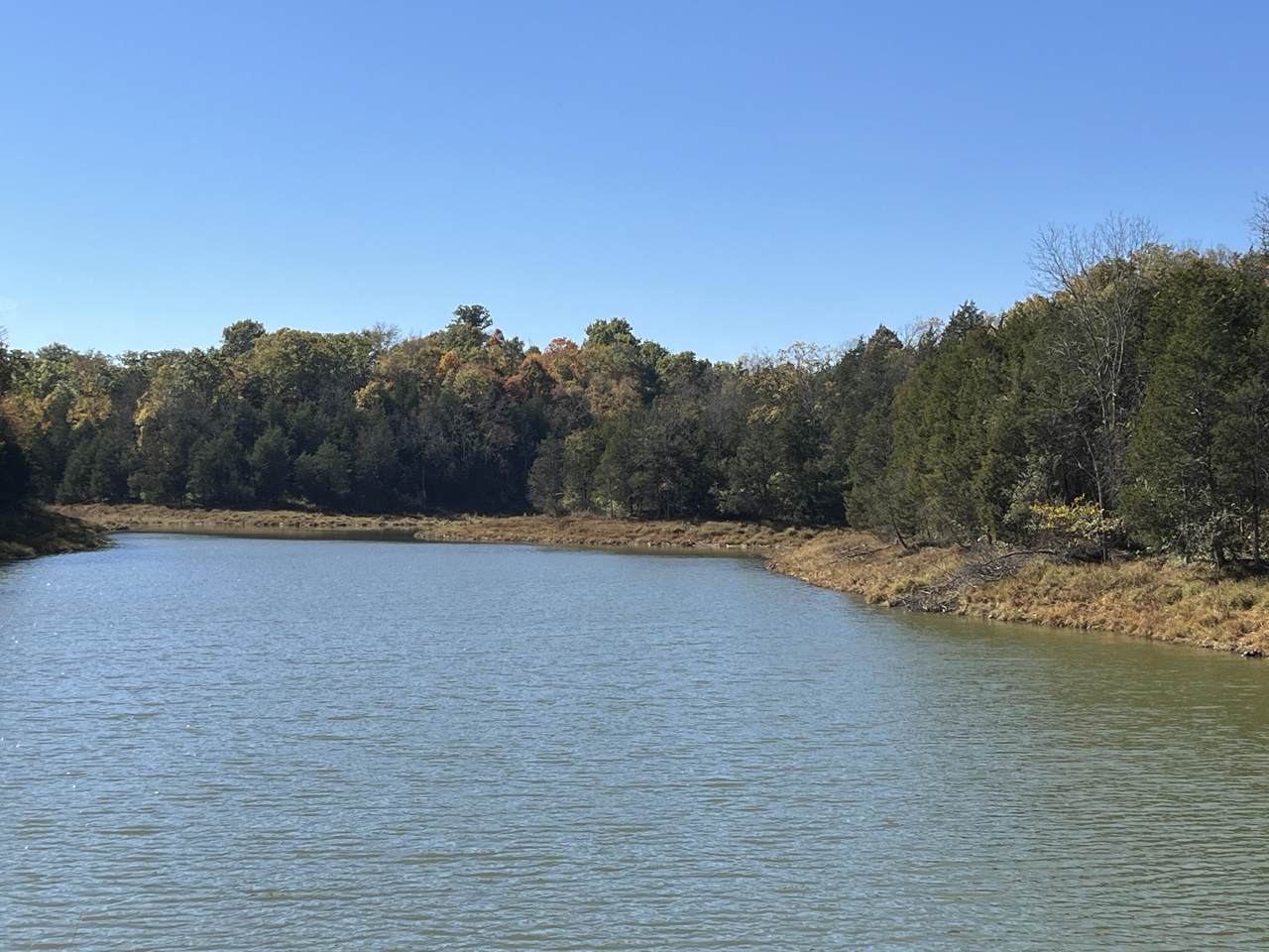 3105 Gratz Road Lot 247 - Photo 1