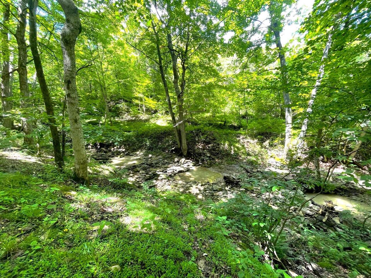 0 Lenoxburg Foster Road - Photo 1