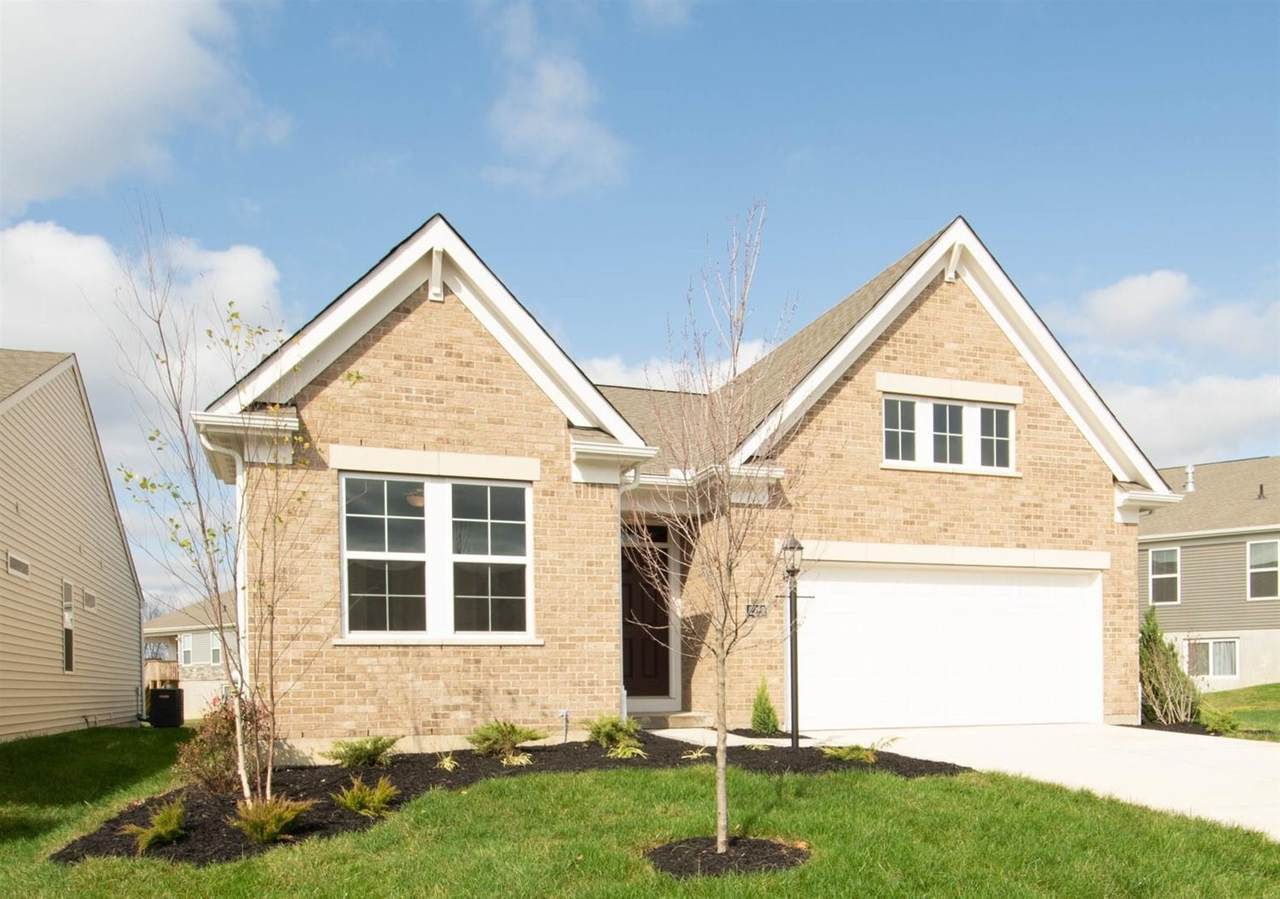 2223 Amici Drive - Photo 1