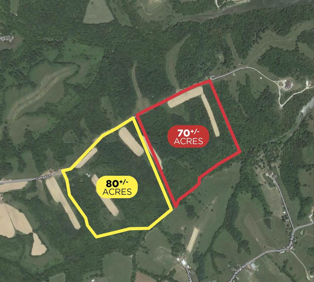 Lot D Conrad Lane - Photo 1