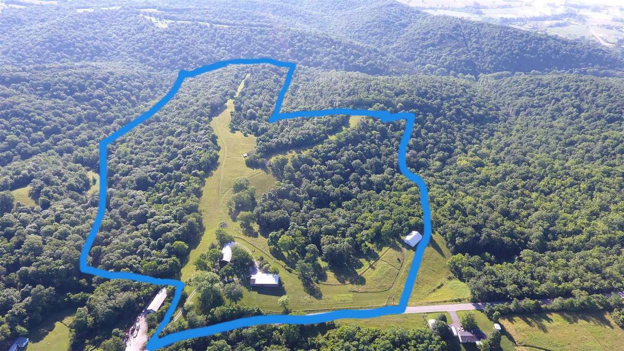 7780 Highway 355 - Photo 1
