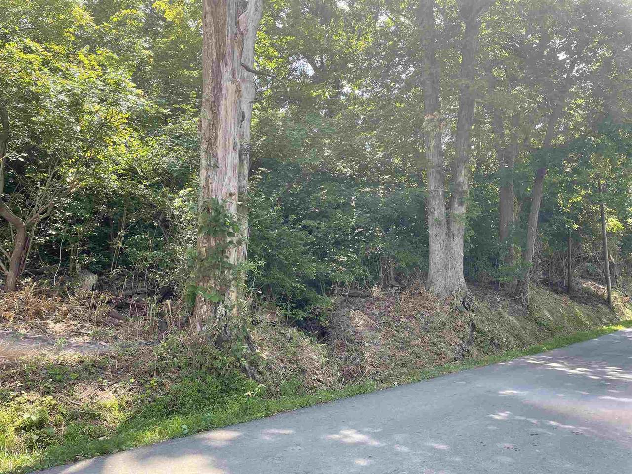605 Rifle Range Road - Photo 1