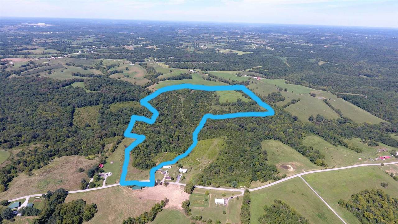 59.02 Acres Stewart Ridge Rd - Photo 1
