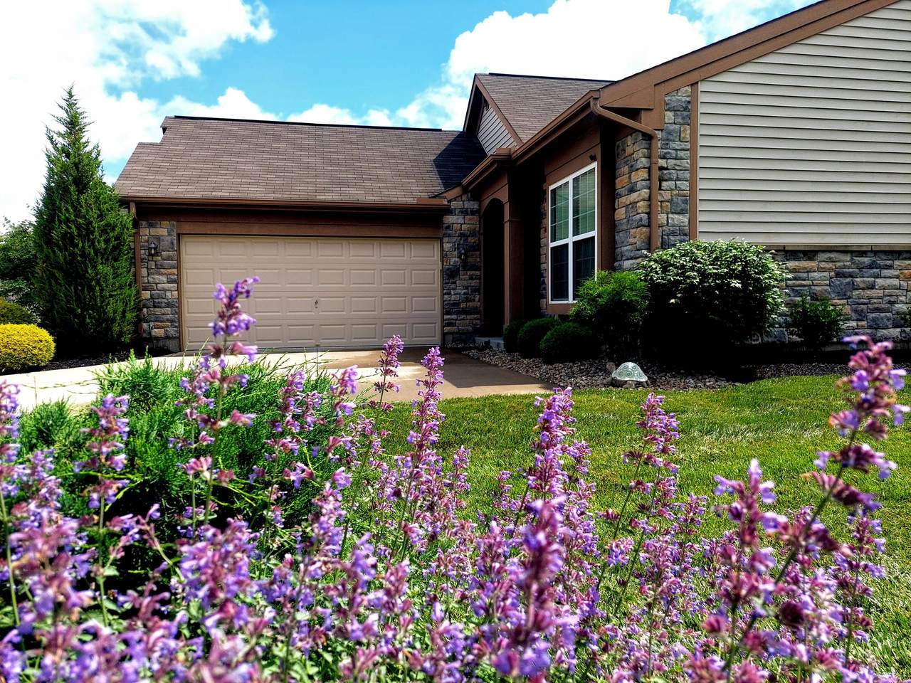 2437 Ormond Drive - Photo 1