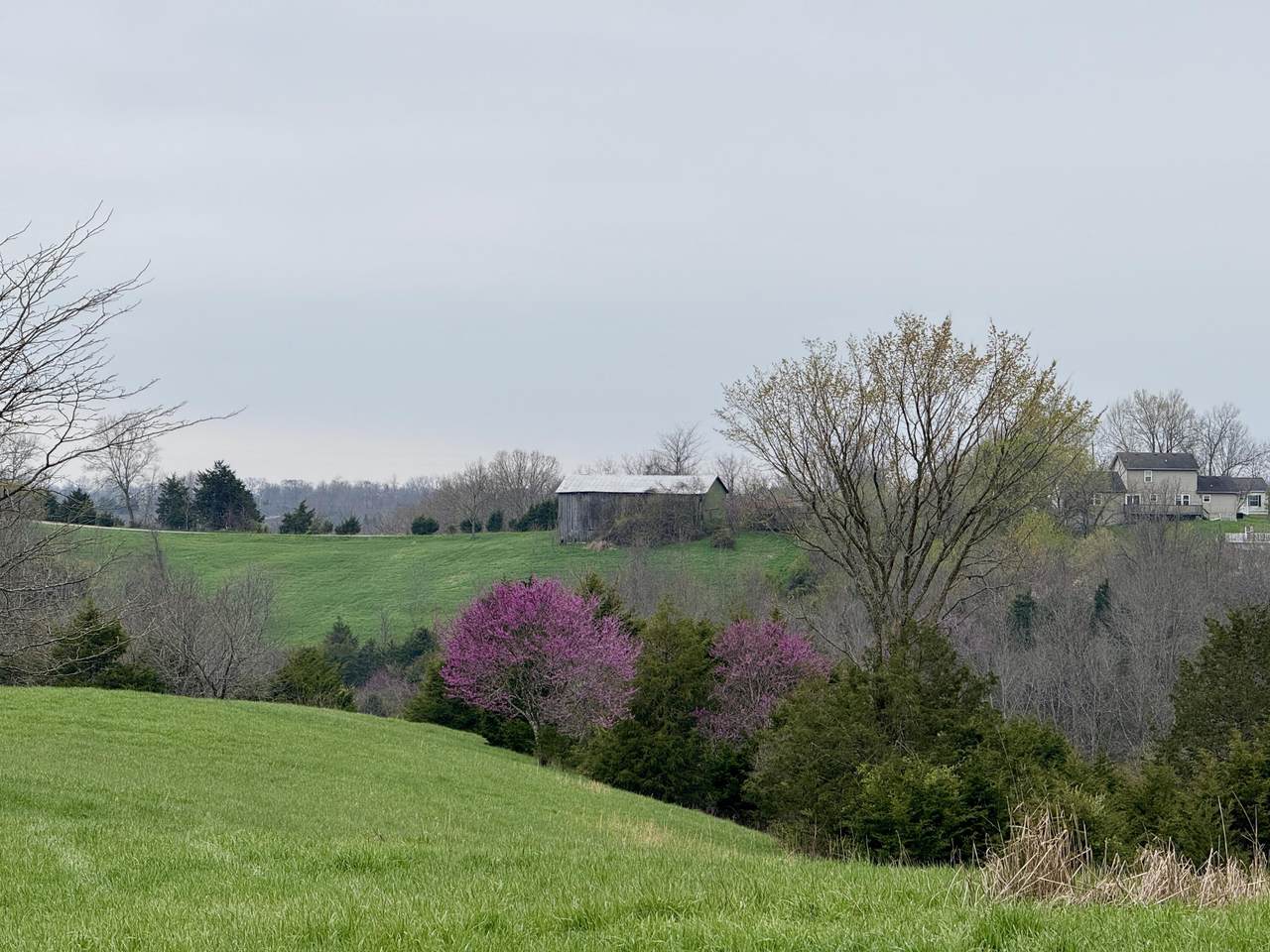 455 Mason Sipple Road - Photo 1