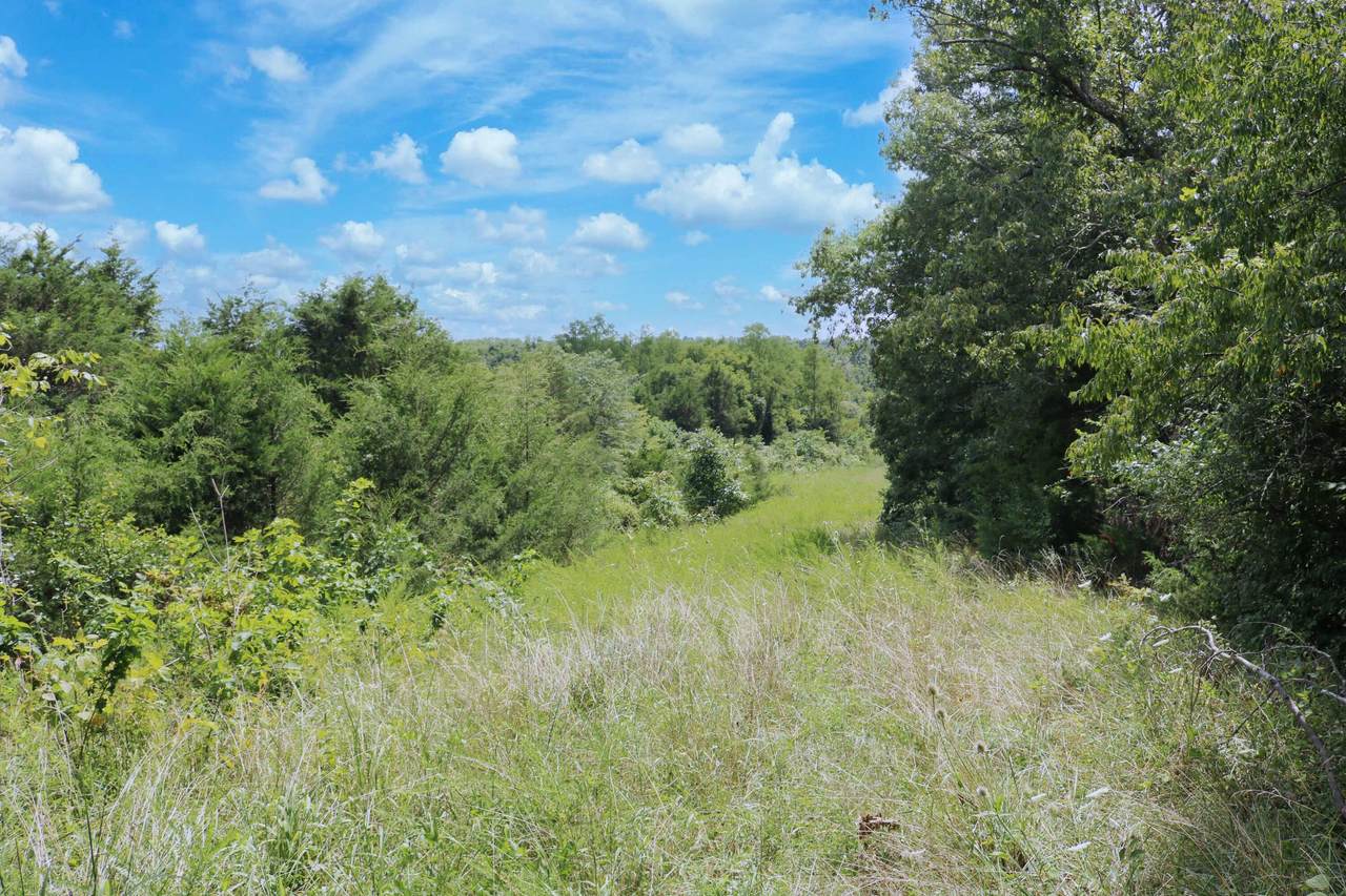 990 Wolfe Road - Photo 1