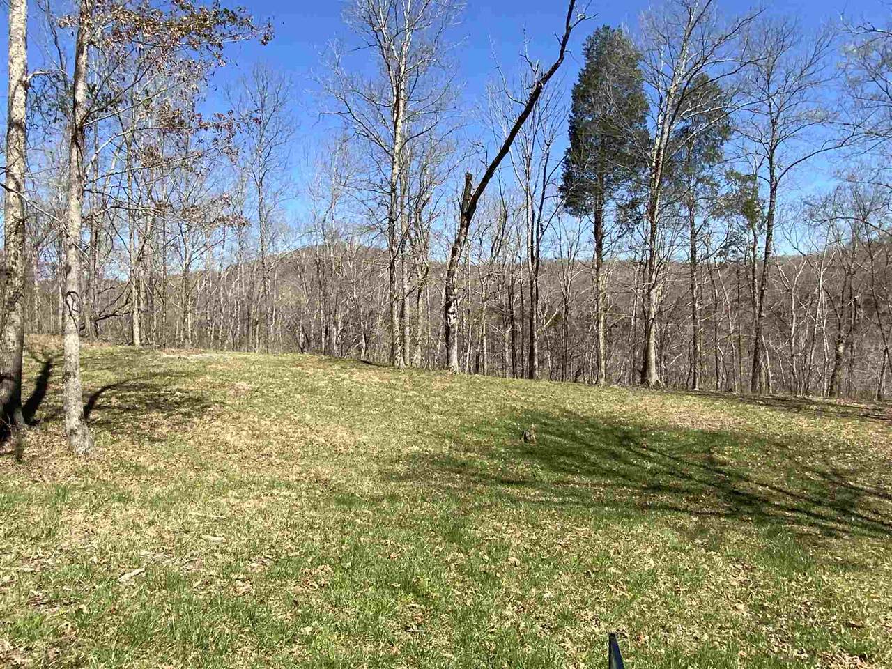 Sec 1 Buck Creek Hideaway - Photo 1