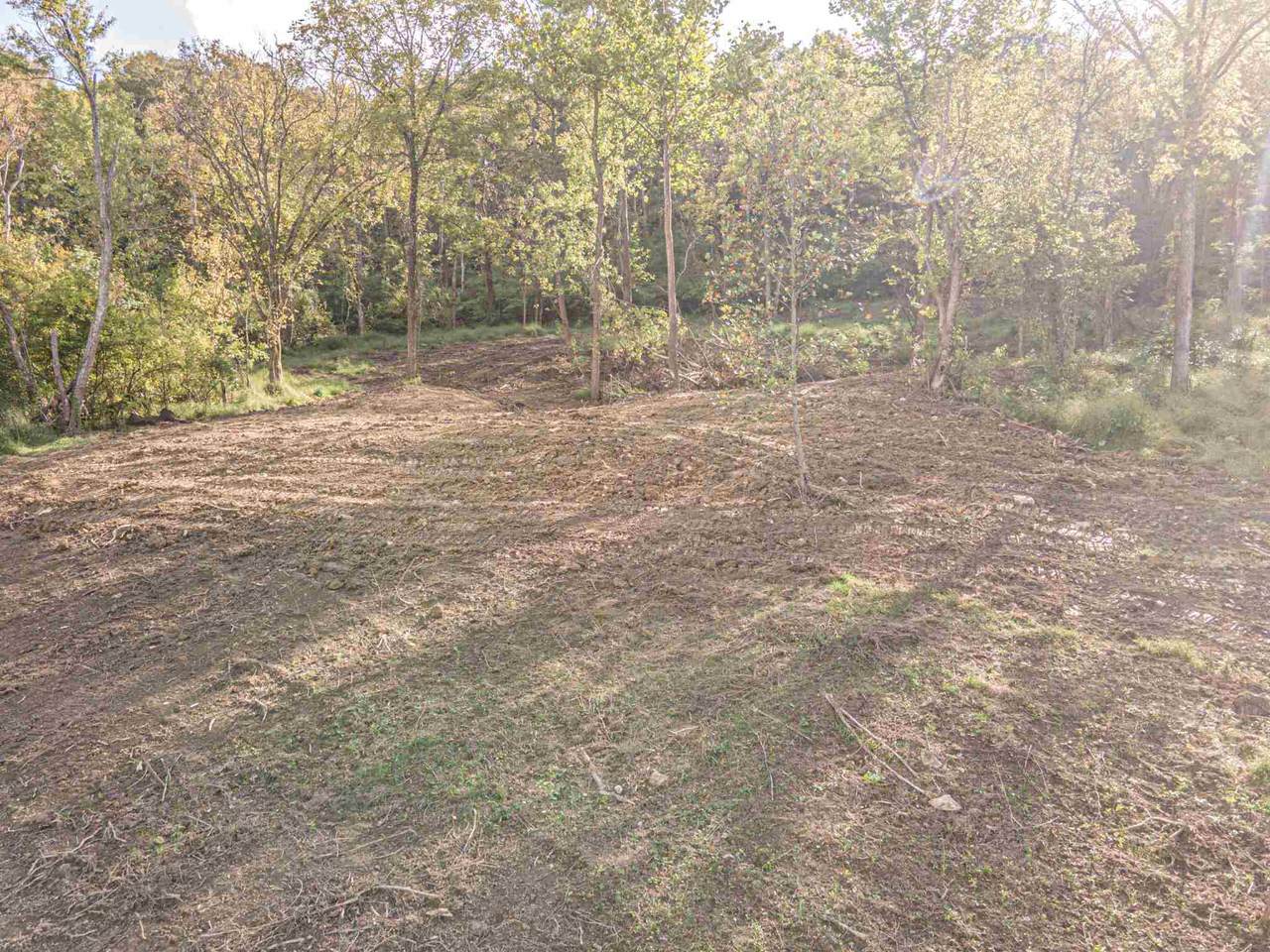1408 Mary Ingles Hwy - Photo 1