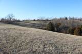 5.21 Acres Vallandingham Road - Photo 10
