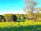 Lot # 3 Jonesville Folsom Road - Photo 4