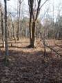 . Buckeye Hills Road - Photo 5