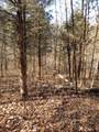 . Buckeye Hills Road - Photo 8