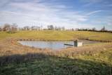 11477 Banklick Road - Photo 47