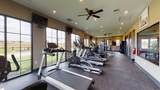 2464 Cetona Way - Photo 29
