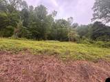 499 Little Bullskin Road - Photo 3