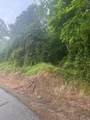 499 Little Bullskin Road - Photo 4