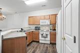 961 Mistflower Lane - Photo 8