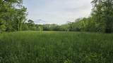 Tract 2 Folsom Jonesville Road - Photo 4