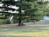 1775 Dry Ridge Mount Zion Road - Photo 2