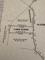 1.6 Ac Schlueter Road - Photo 3