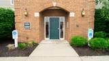 990 Mistflower Lane - Photo 1