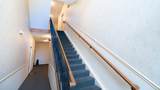 990 Mistflower Lane - Photo 3