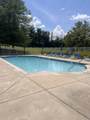 955 Mistflower Lane - Photo 1