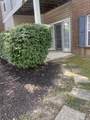 955 Mistflower Lane - Photo 3