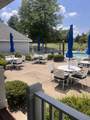 955 Mistflower Lane - Photo 30