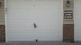 955 Mistflower Lane - Photo 32