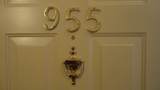 955 Mistflower Lane - Photo 43