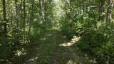 00 Caney Creek Road - Photo 32