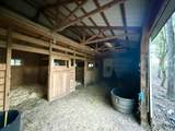 4669 Rabbit Hash Road - Photo 12