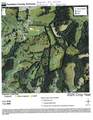 25 acres Falmouth Lenoxburg Road - Photo 5