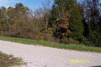 8 Timber Ridge - Photo 1