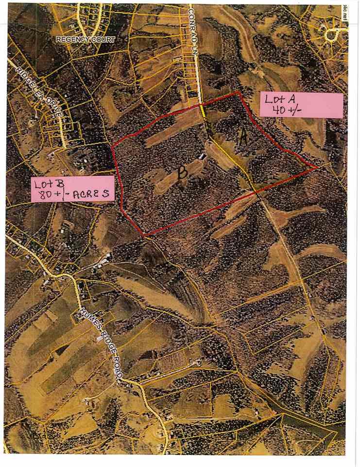 Lot B Conrad Lane - Photo 1
