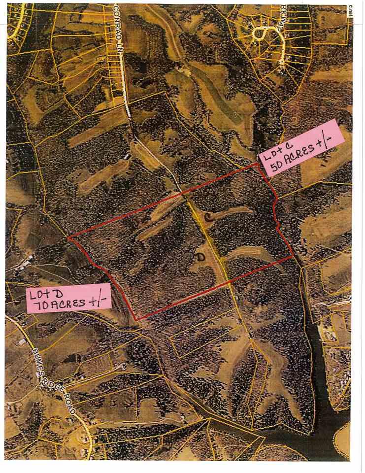 Lot C Conrad Lane - Photo 1