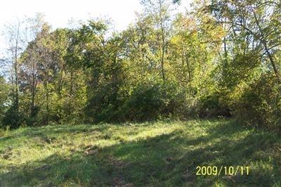 11 Timber Ridge - Photo 1