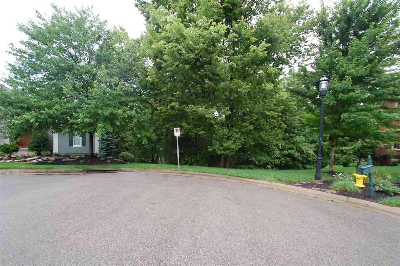 2979 Fallen Tree Court - Photo 1