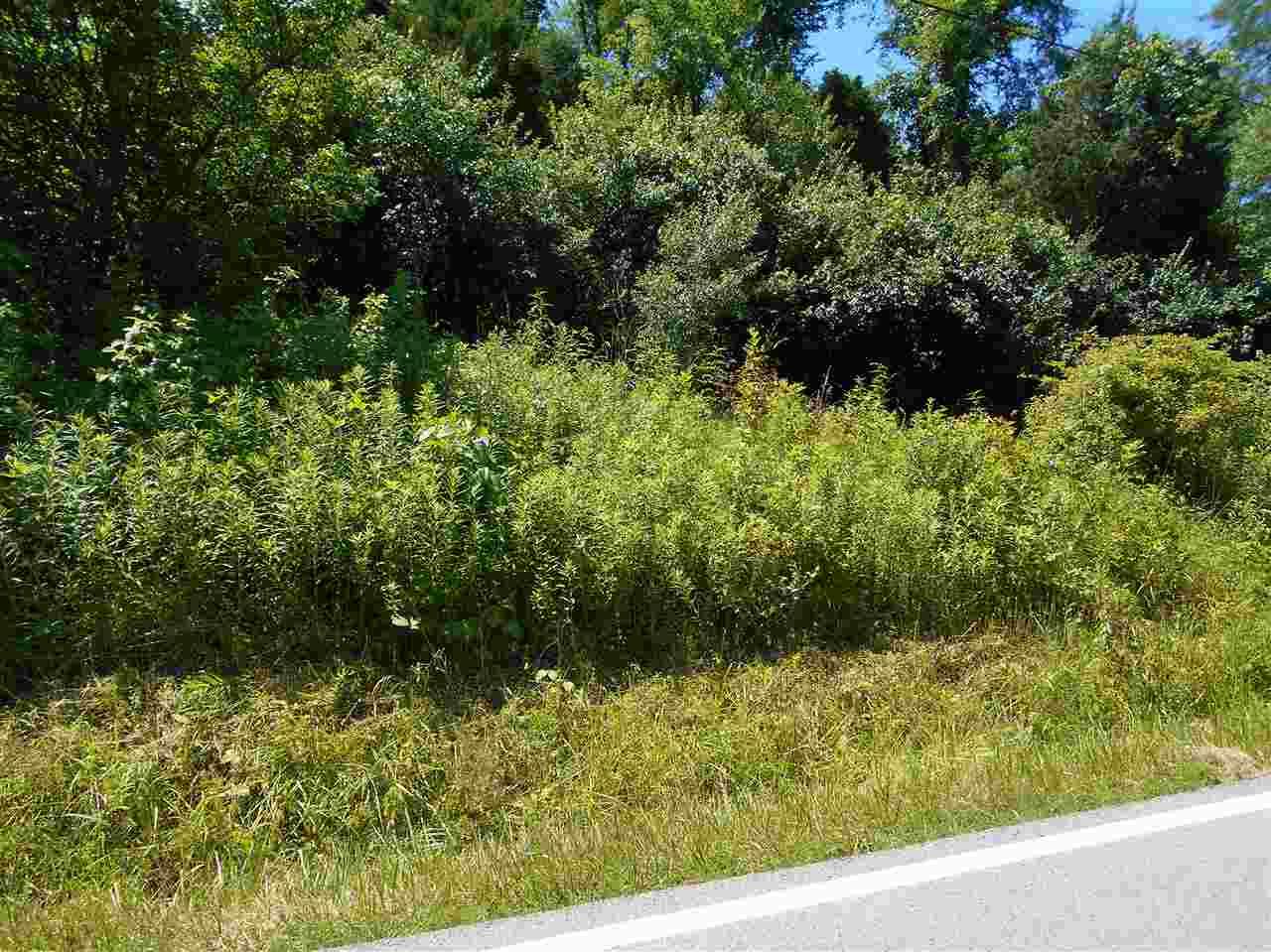Lot #2 Painter Road - Photo 1