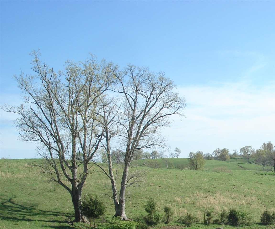 01 Jacobs Lane - Photo 1