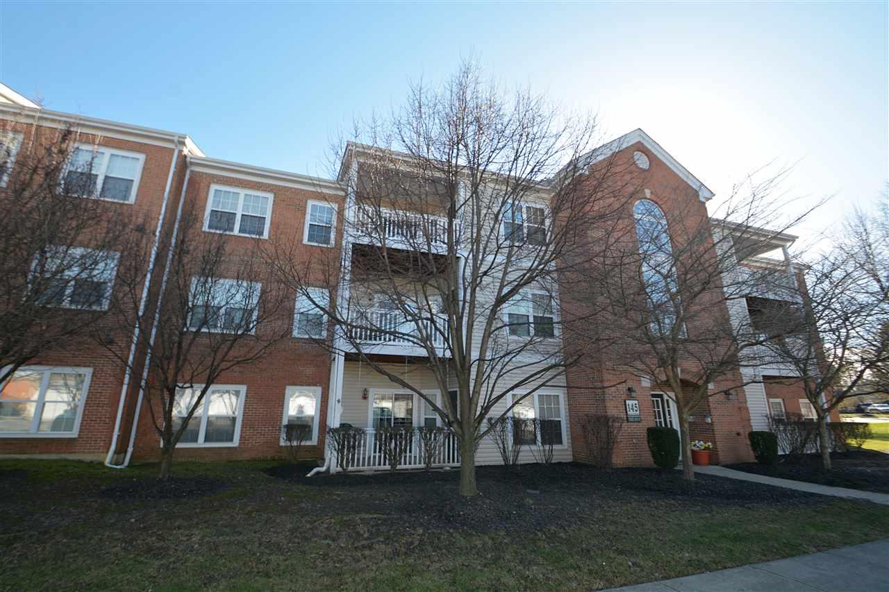 145 Saddlebrook Lane - Photo 1