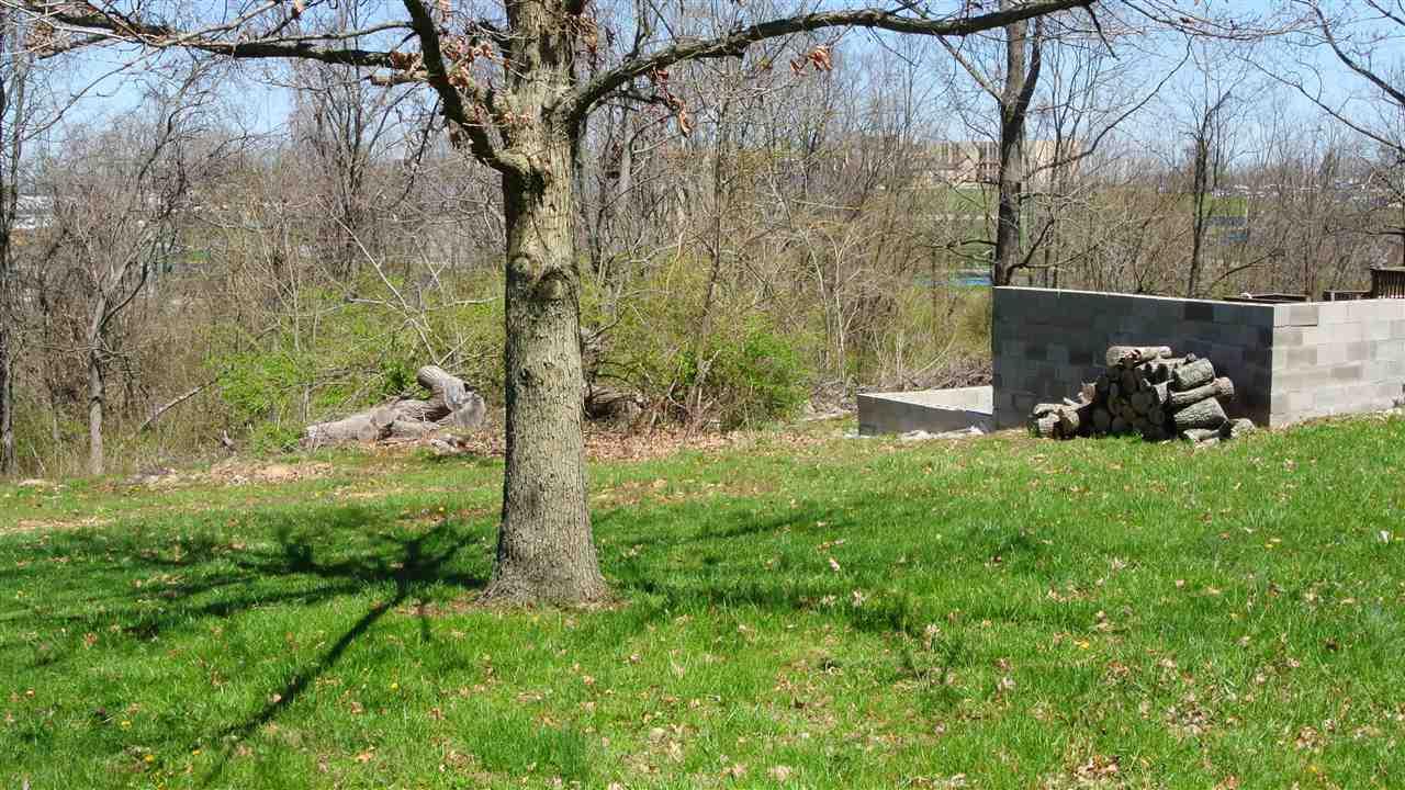 56 Apple Drive - Photo 1
