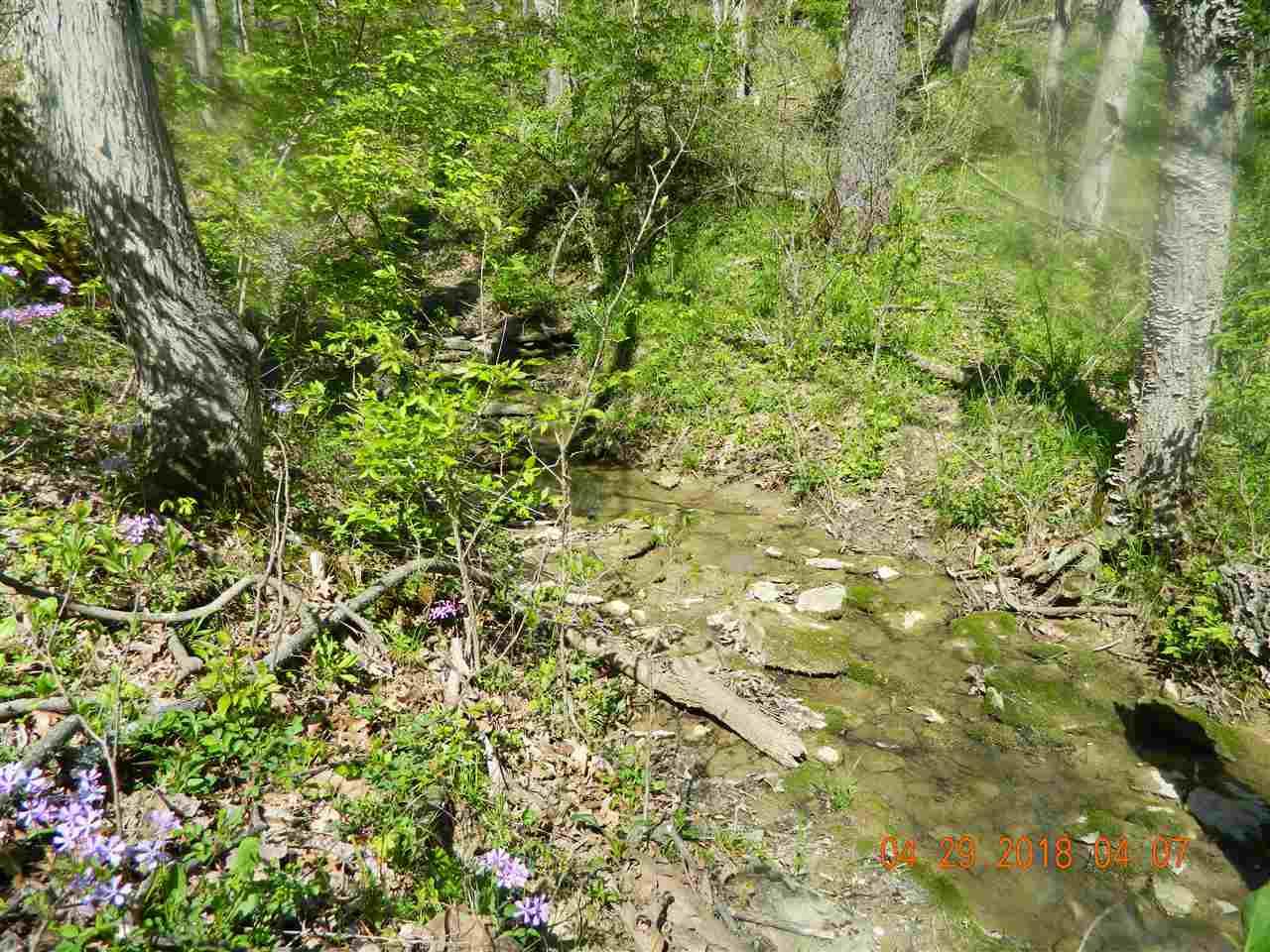 Twin Oaks Lane - Photo 1
