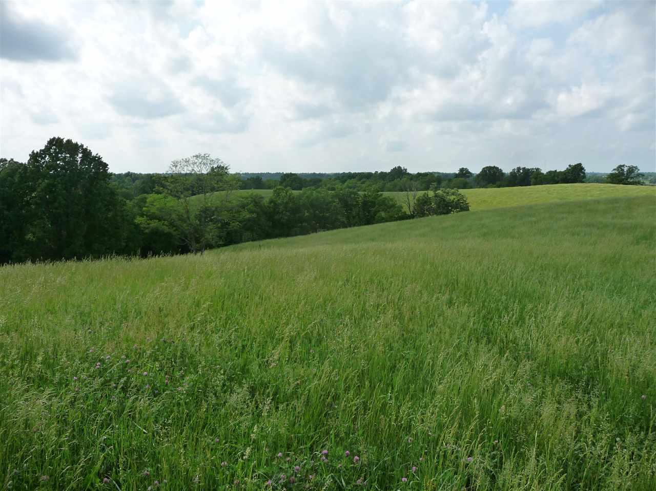402 Old Kenny Road - Photo 1