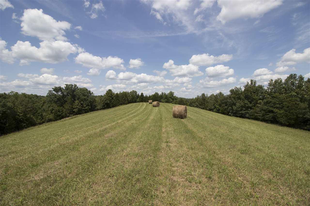 Ashbrook Road - Photo 1